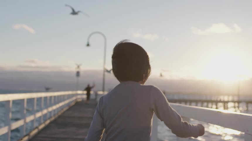 Child walks on a low bridge over water with seagulls overhead