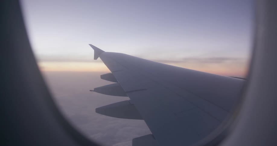 An airplane flies in the sky