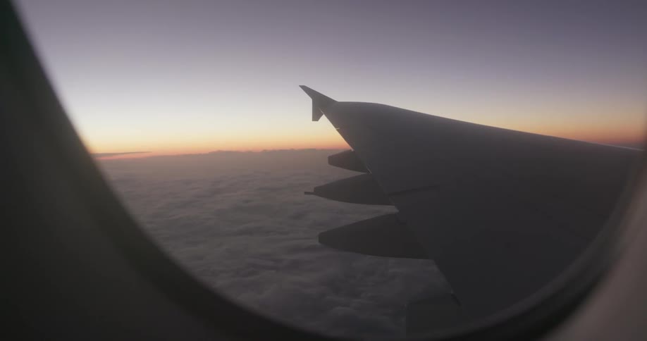 An airplane flies in the sky