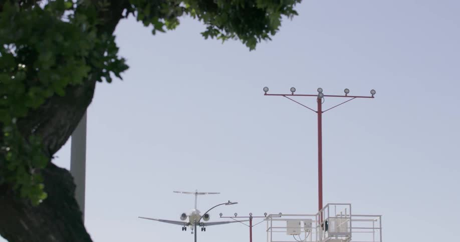 A plane descends over the tree on a windy day
