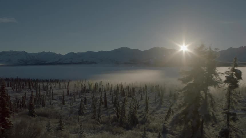 The sun rises over mountains behind a misty snow covered forest