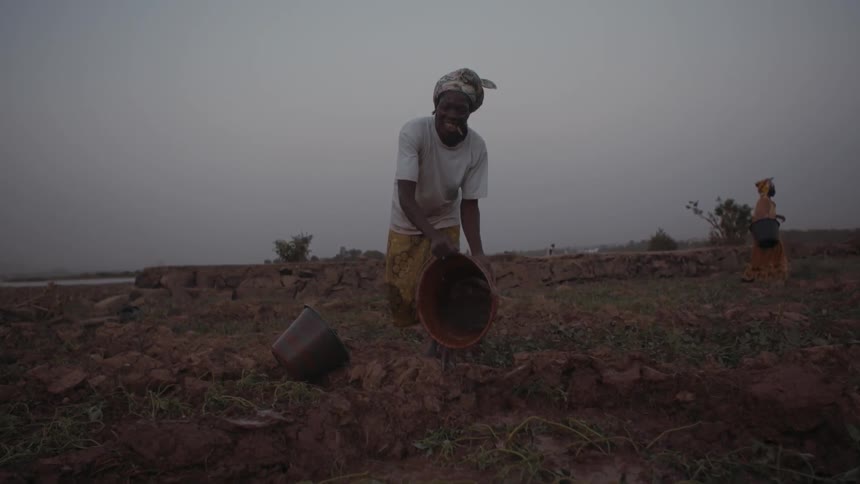 A man dumps a bucket of water into a field at sunset