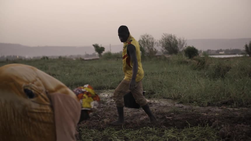 A man and woman work in a rural field