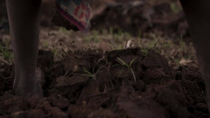 A person uses a hand tool to turn over the soil