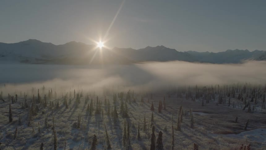 Revealing a frigid mountain valley dotted with snow covered trees and freezing fog