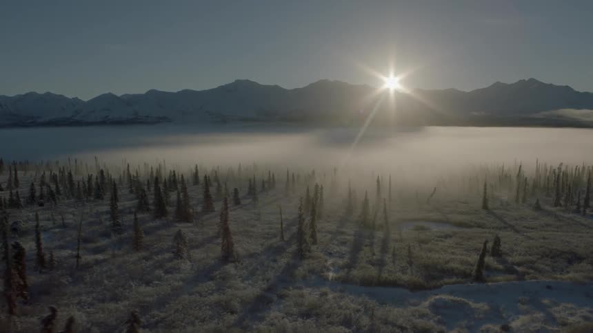 Pullback traverse at sunrise above a fog shrouded winter forest