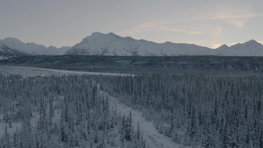 Low traverse over a vast and icy forest valley with snow covered mountains in the distance