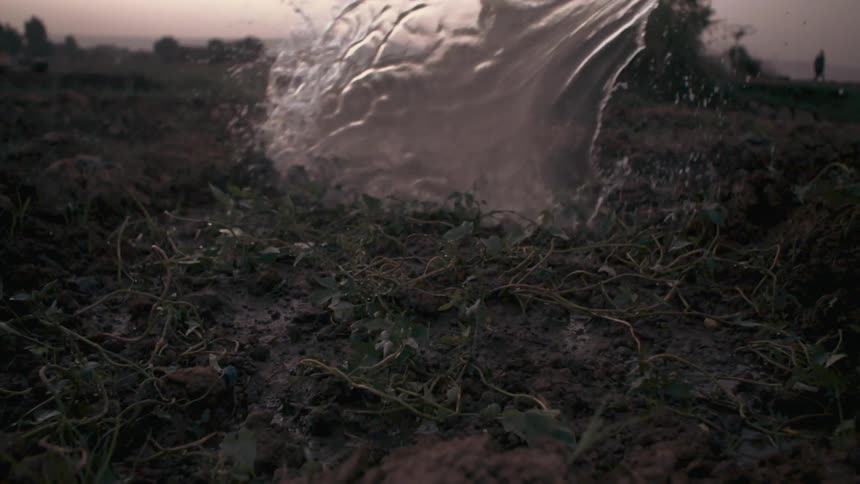 A bucket of water is poured on a rural field