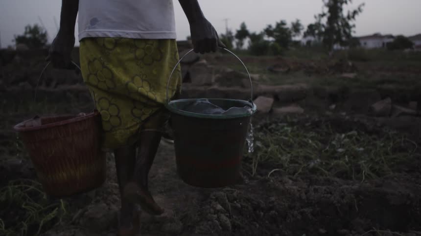 Woman carries two buckets with water sloshing out of them in a field