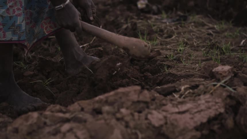 A woman turns the soil over with a hand tool