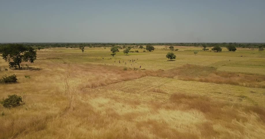 People are working in a farm field
