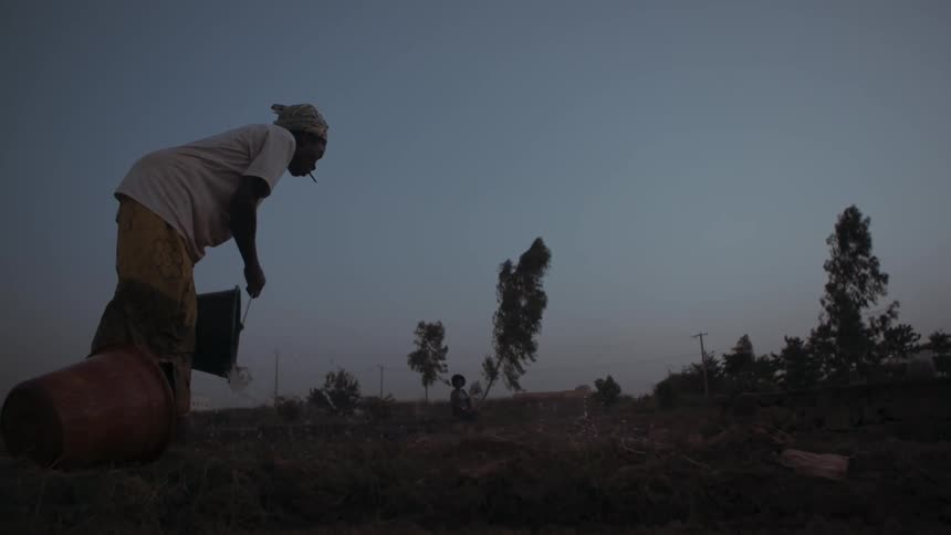 A woman pours water over soil
