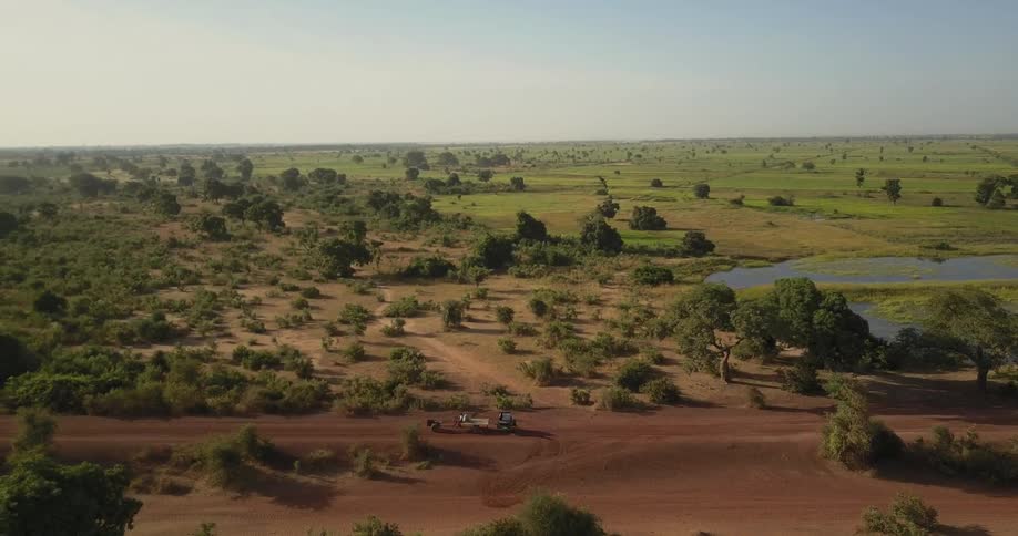 Farm vehicle rolls down a dirt road in the middle of brushy plains