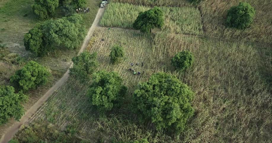 A truck is parked on a rural field