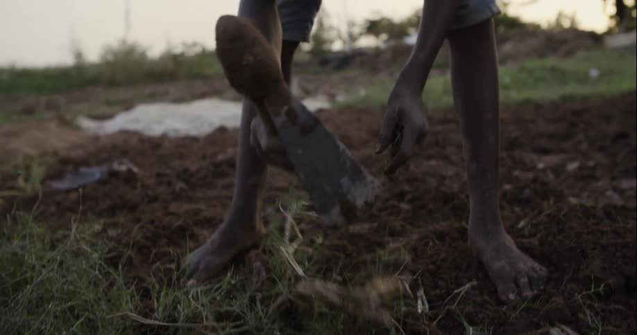 A farmer is digging up the ground with a pick