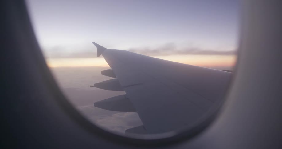 A plane flies in the sky