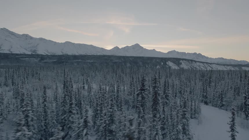 Mountains and arctic forest trees covered in snow at dawn