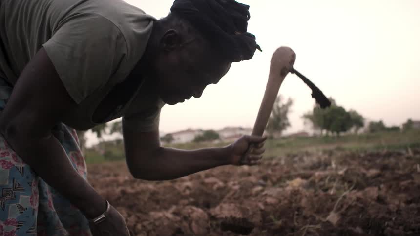 A man is digging up the soil on a farm