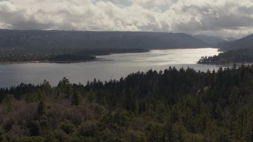 Trees line both sides of a waterbody