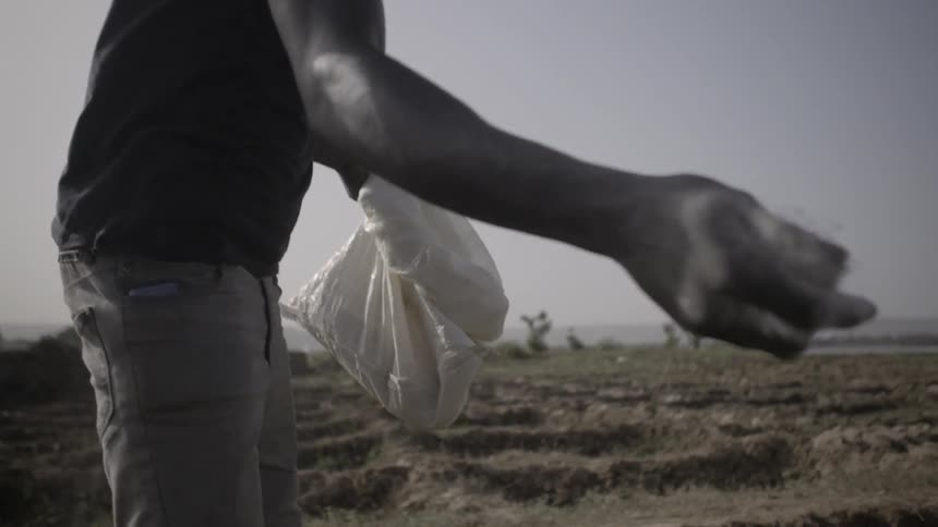 A man is gardening on a farm