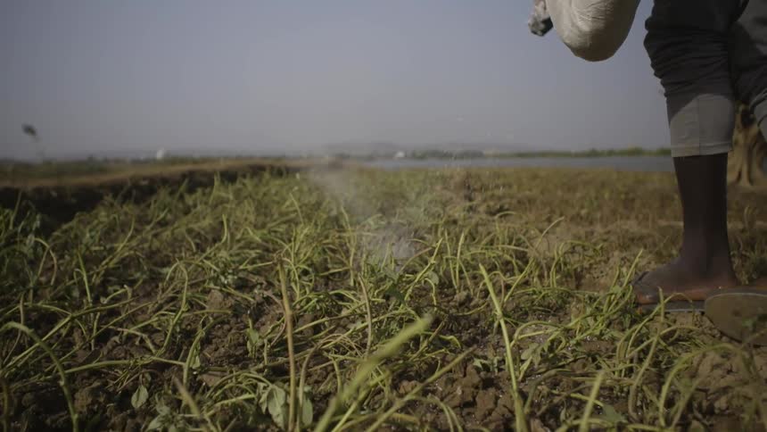 A man is tossing fertilizer onto a farm field