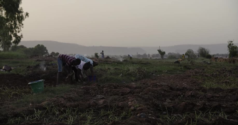 A woman and her children work the garden soil