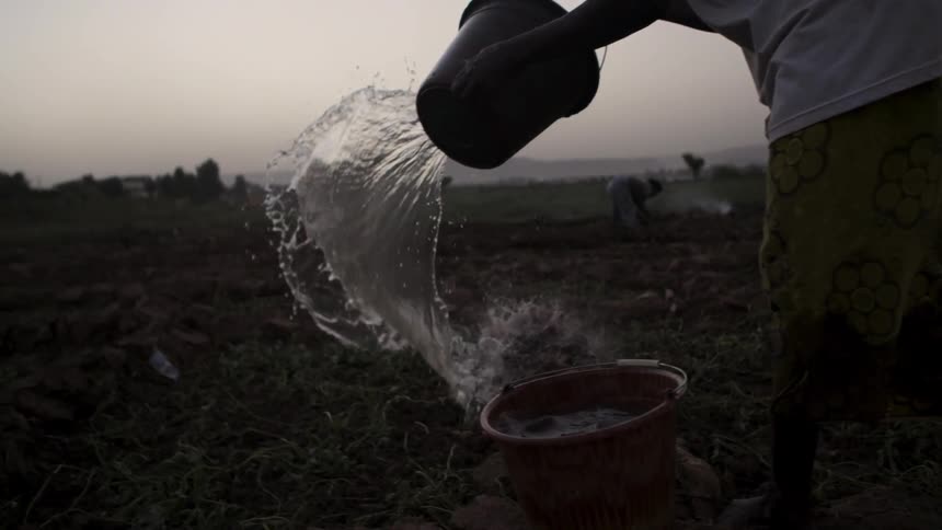 A woman waters a garden using a bucket