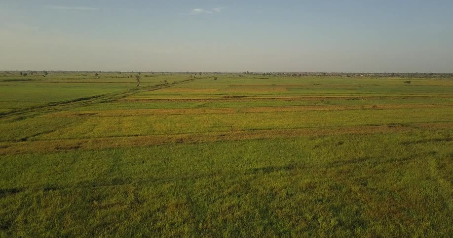 A rural field is shown on a clear day