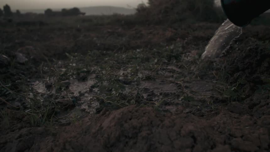 Water is tossed onto a dirt field from a bucket