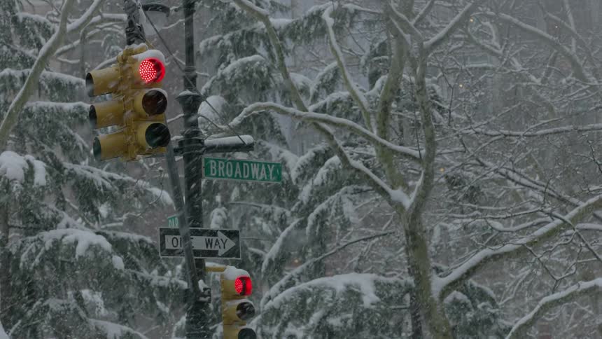 A bus passes a street light as it snows