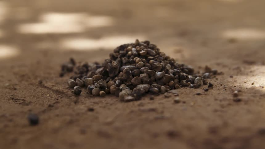 A pile of rocks are in the soil
