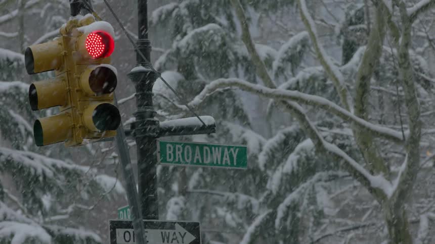 Snow falls on streets signs and trees on a winter day