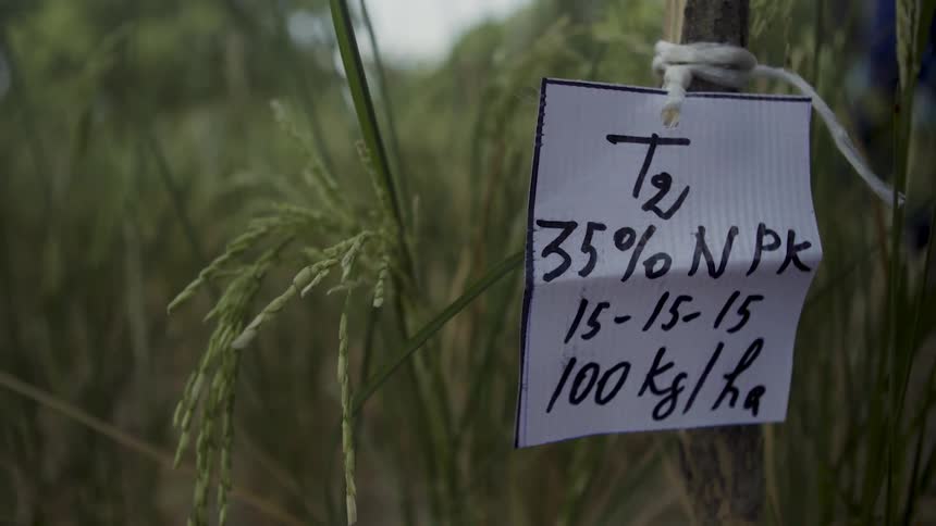Piece of paper with numbers on it tied to a stake in front of weeds as a person walks by