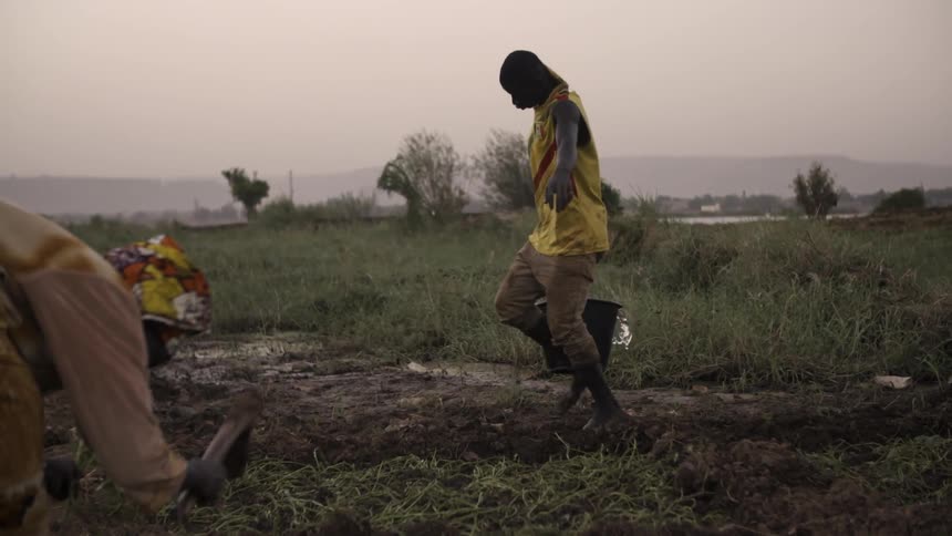A man carries a bucket of water across a field
