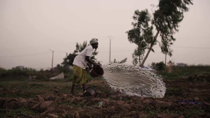 A person dumps a bucket of water into a dirt field at sunset