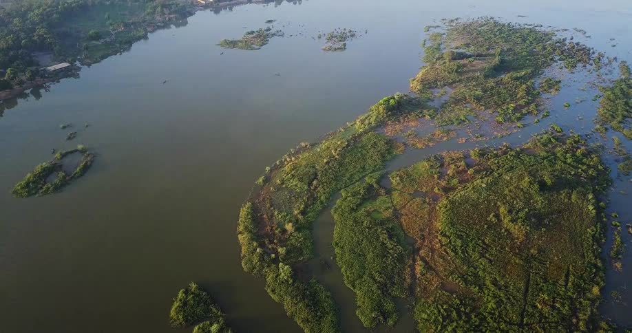 Some greenery stretching out into a river area next to a town