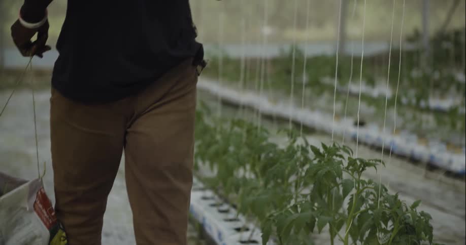 A man carries a bag through a small garden