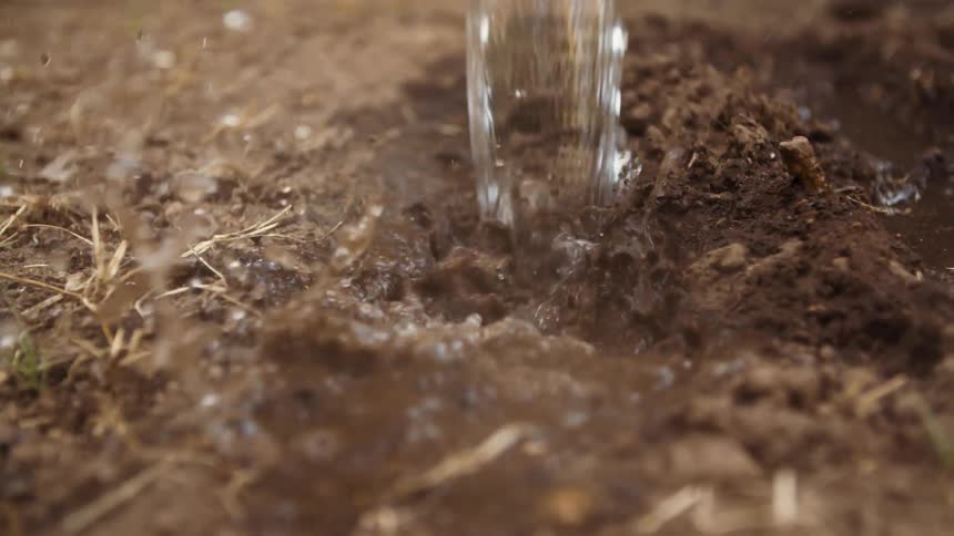 Water is being pouring into the soil