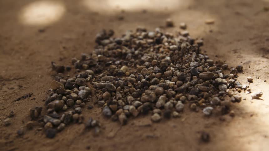 A pile of rocks in the shade