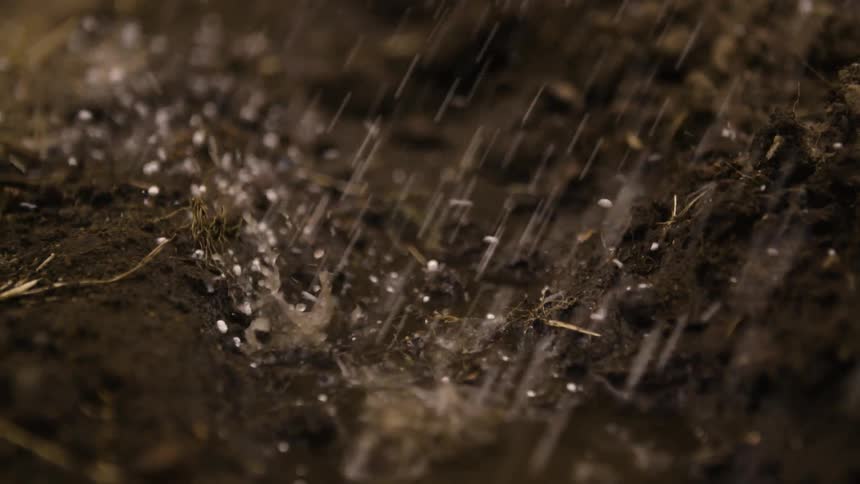 Fertilizer is thrown onto muddy ground