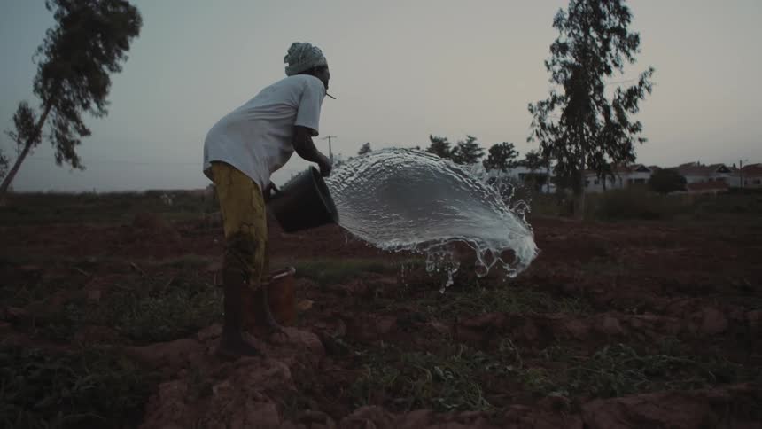 Woman outside dumping bucket full of water onto dirt