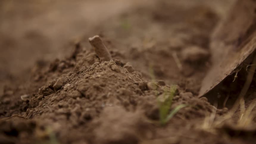 A shovel is moving dirt in a farm field