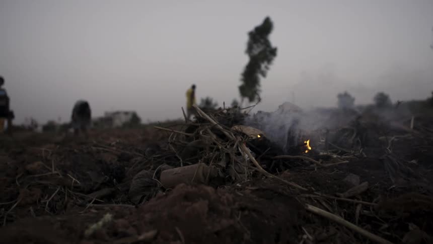 A small fire starts in a pile of leaves