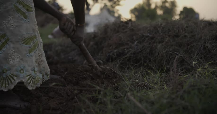 A person uses a hand tool to dig in a dirt field