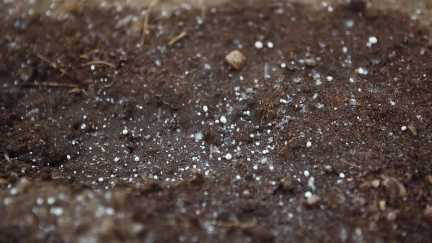 Fertilizer is sprinkled onto soil