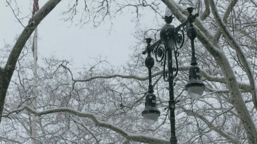 The snow slowly falls over the lamp post and trees