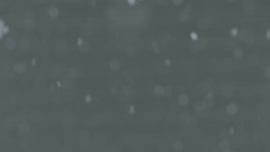 Snow falls slowly to the ground