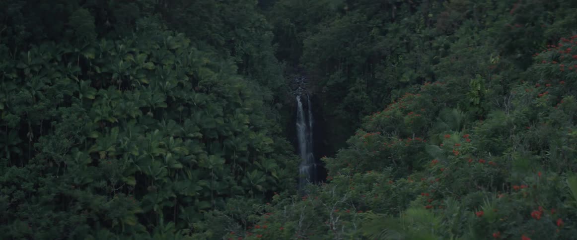 The forest is on the mountain with a waterfall in the center