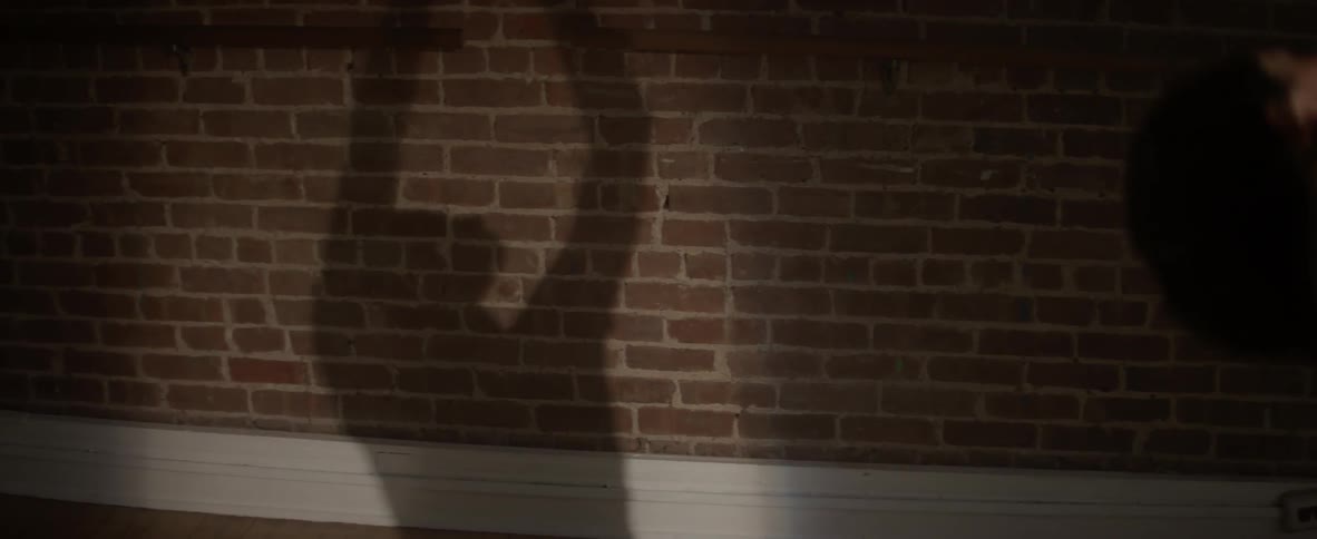 A ballerina twirls as her shadow is cast onto a brick wall