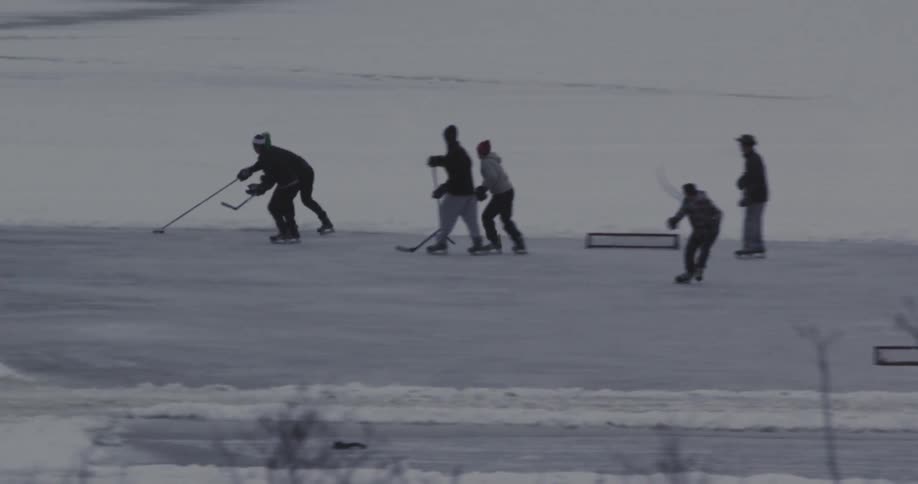 Group of people placing ice hockey